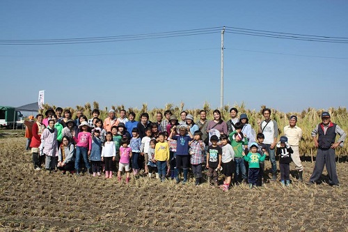 10月19日稲刈り体験報告写真